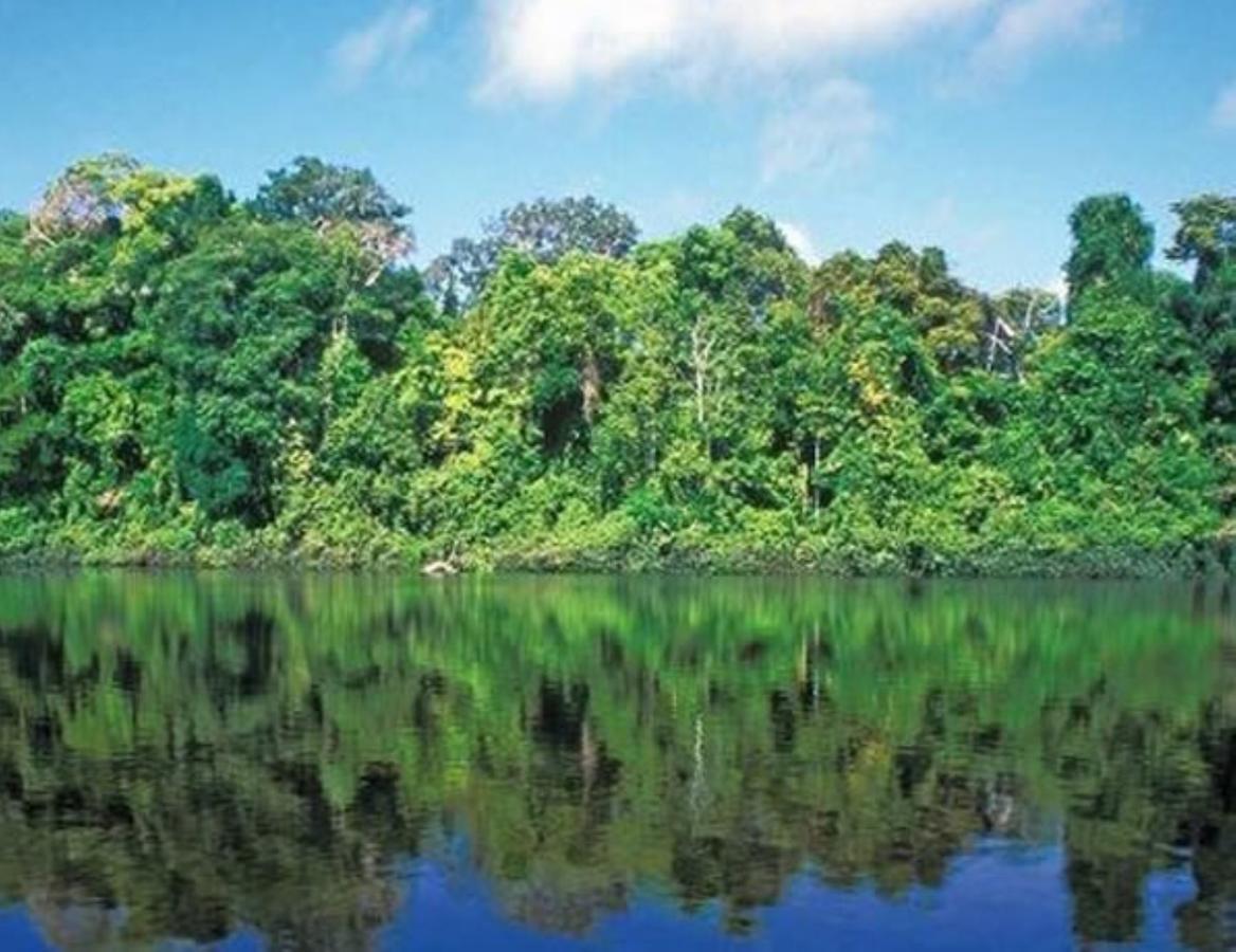 Hotel Vista Al Tortuguero Cariari  外观 照片